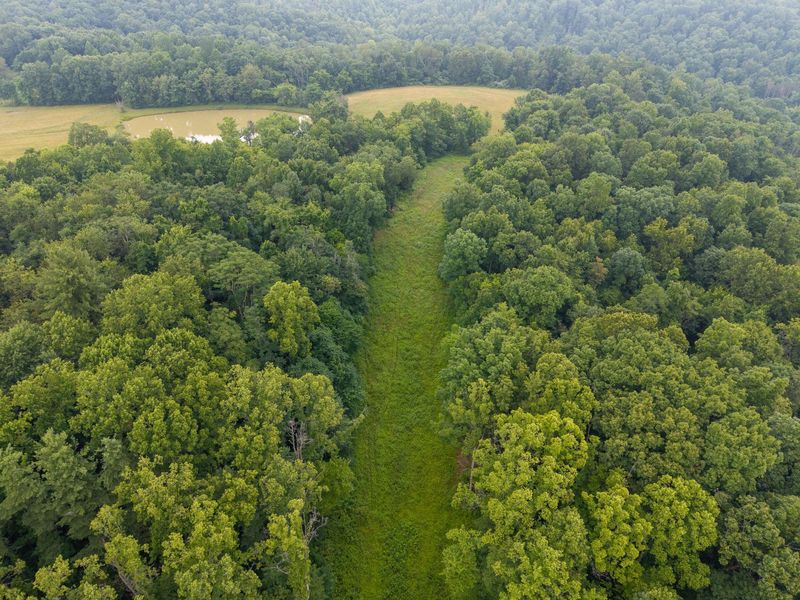 73356 Old Twenty-One Road , Kimbolton, OH 43749 Photo 19