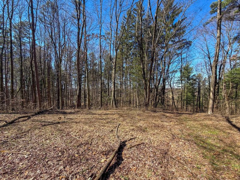 73356 Old Twenty-One Road , Kimbolton, OH 43749 Photo 22