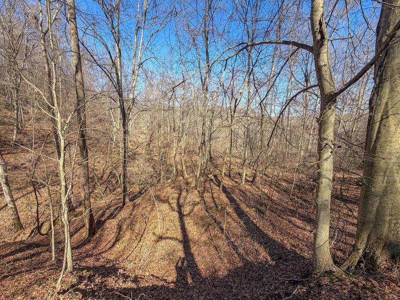 73356 Old Twenty-One Road , Kimbolton, OH 43749 Photo 24
