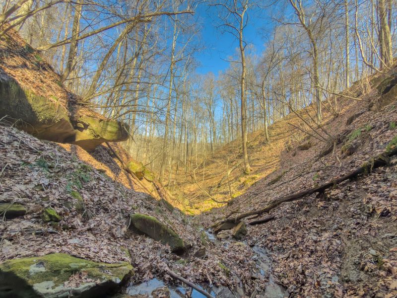 73356 Old Twenty-One Road , Kimbolton, OH 43749 Photo 27