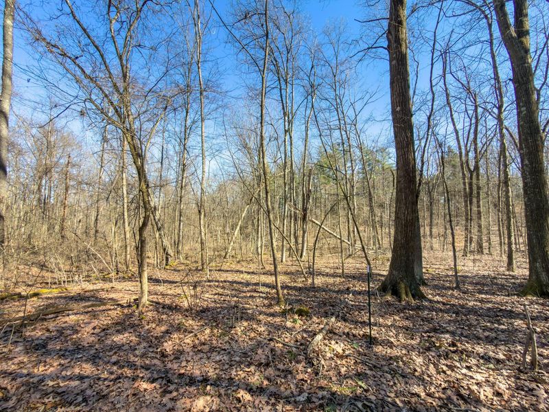 73356 Old Twenty-One Road , Kimbolton, OH 43749 Photo 30