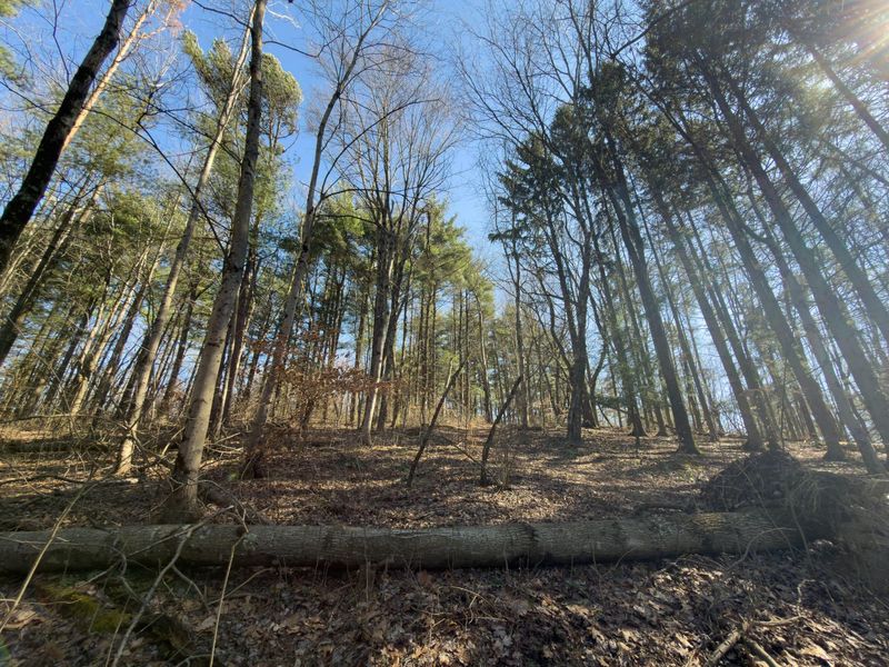 73356 Old Twenty-One Road , Kimbolton, OH 43749 Photo 31
