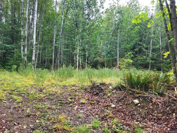 7531 Cowichan Lake Rd , Unit Lot B, Lake Cowichan, BC V0R 2G0