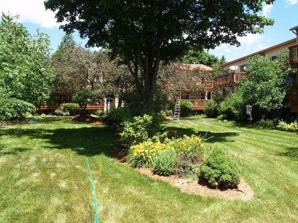 4206 Packard Street, Unit 6, Ann Arbor, MI 48108