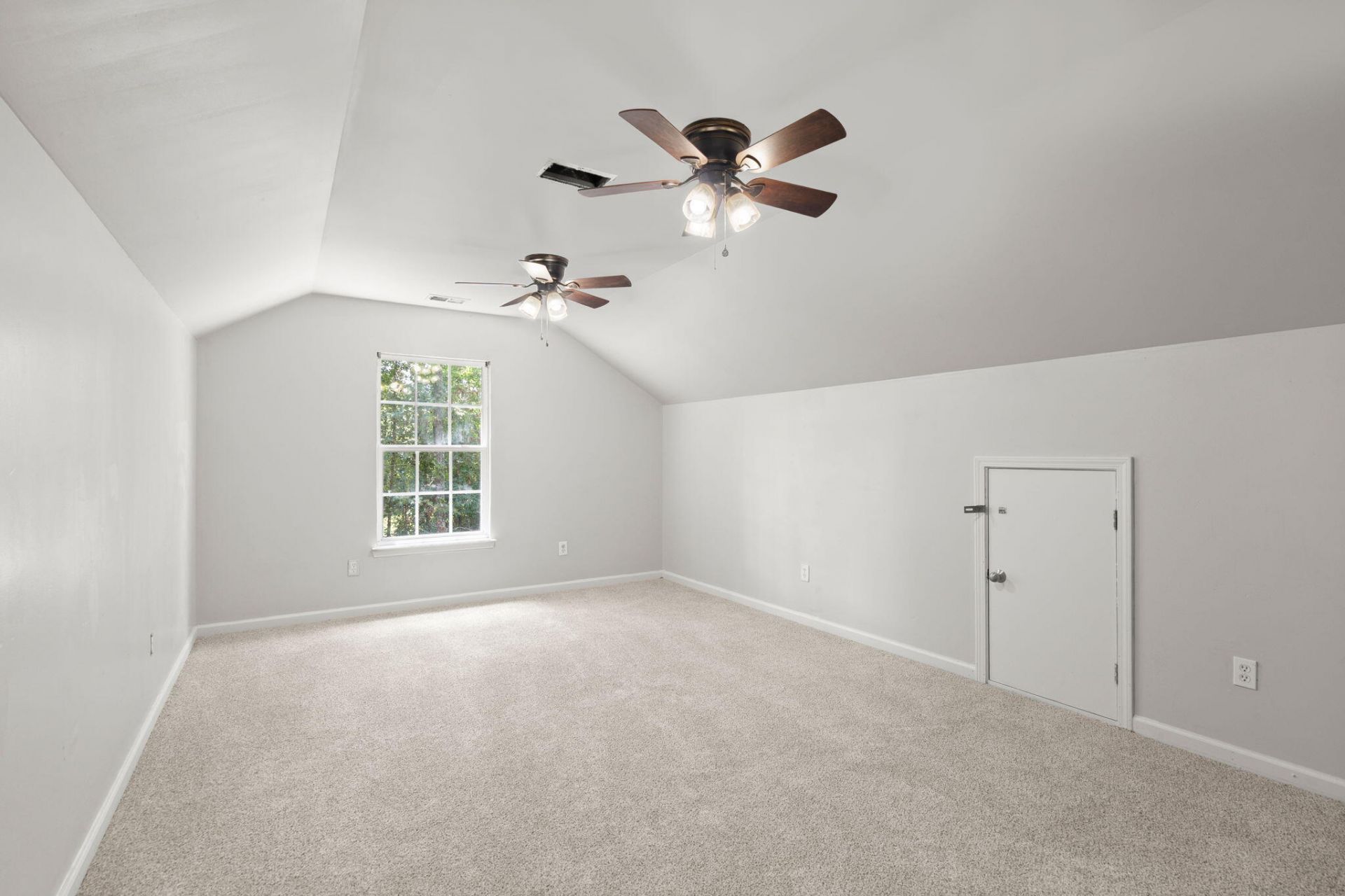 132 Coronet Street Photo 22