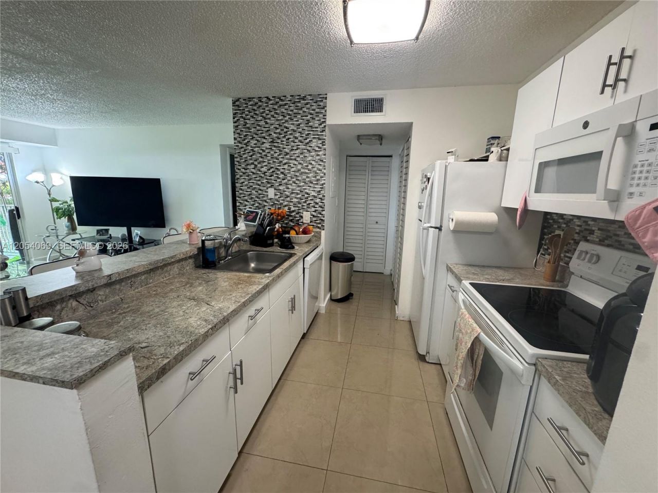 10610 SW 158th Ct , Unit 206, Miami, FL 33196 Photo