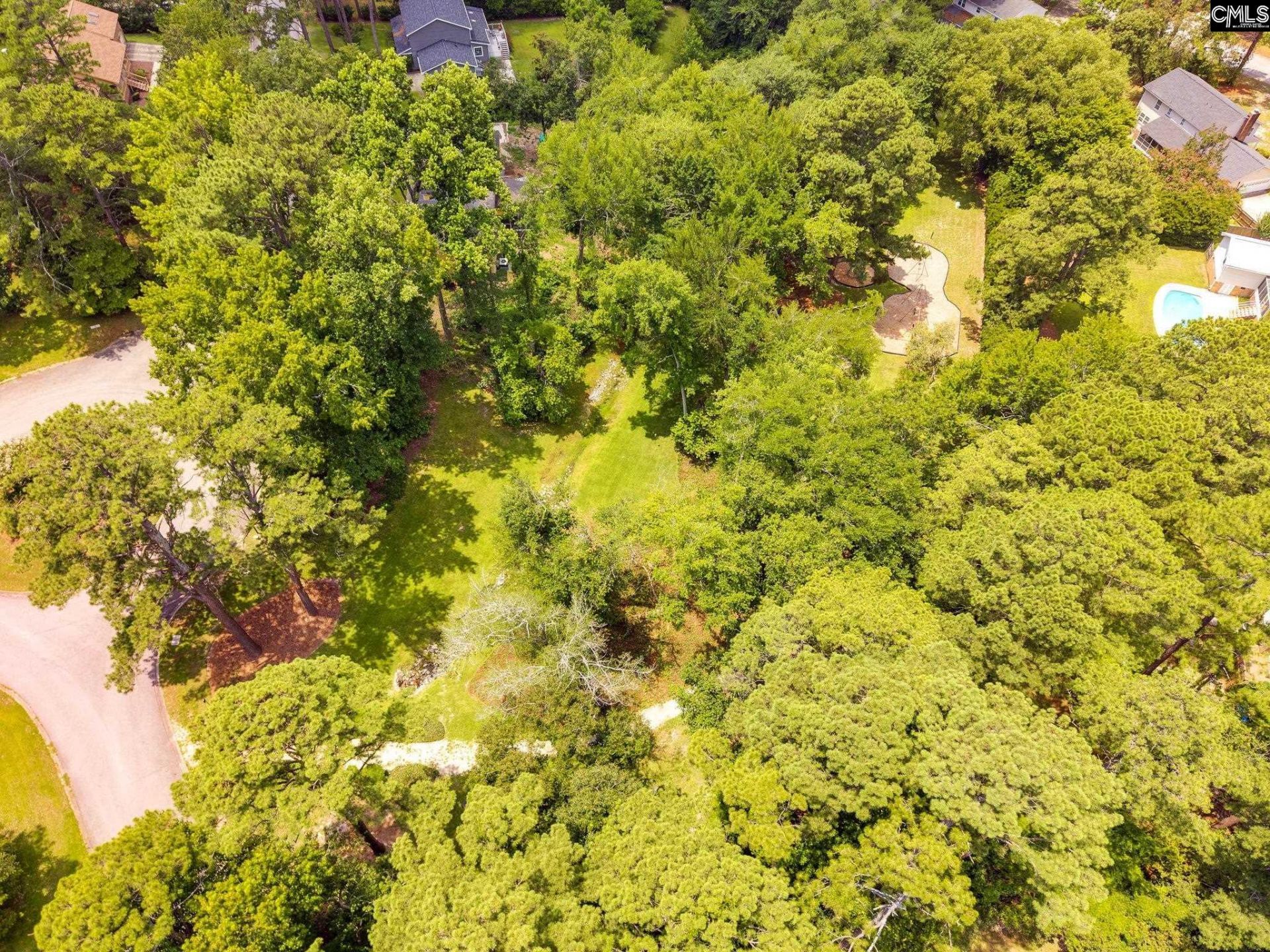 1012 Cold Branch Drive Photo 61