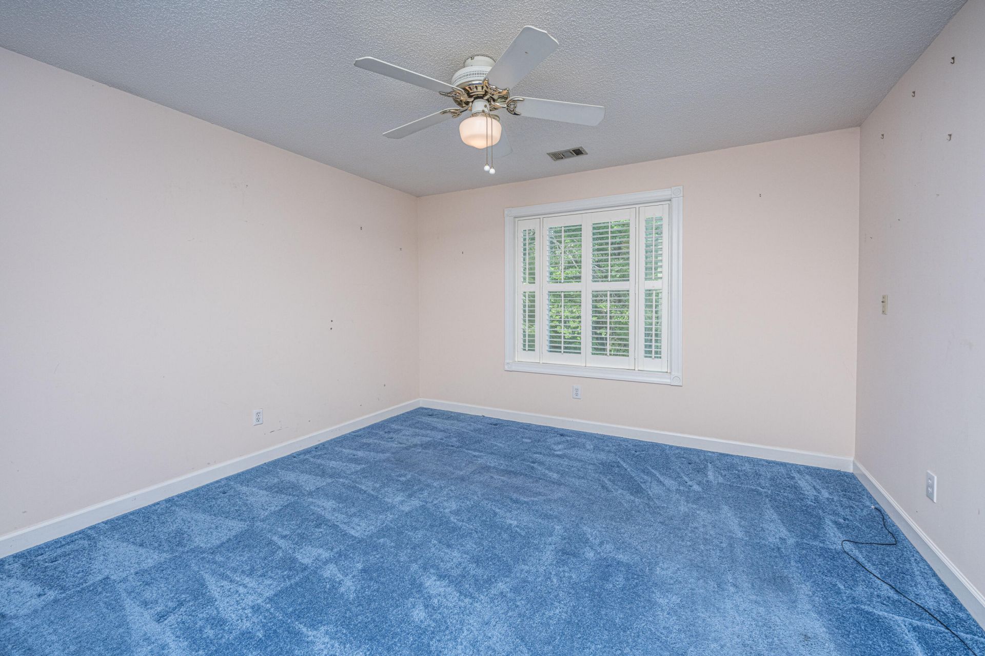 230 Marsh Oaks Drive Photo 20