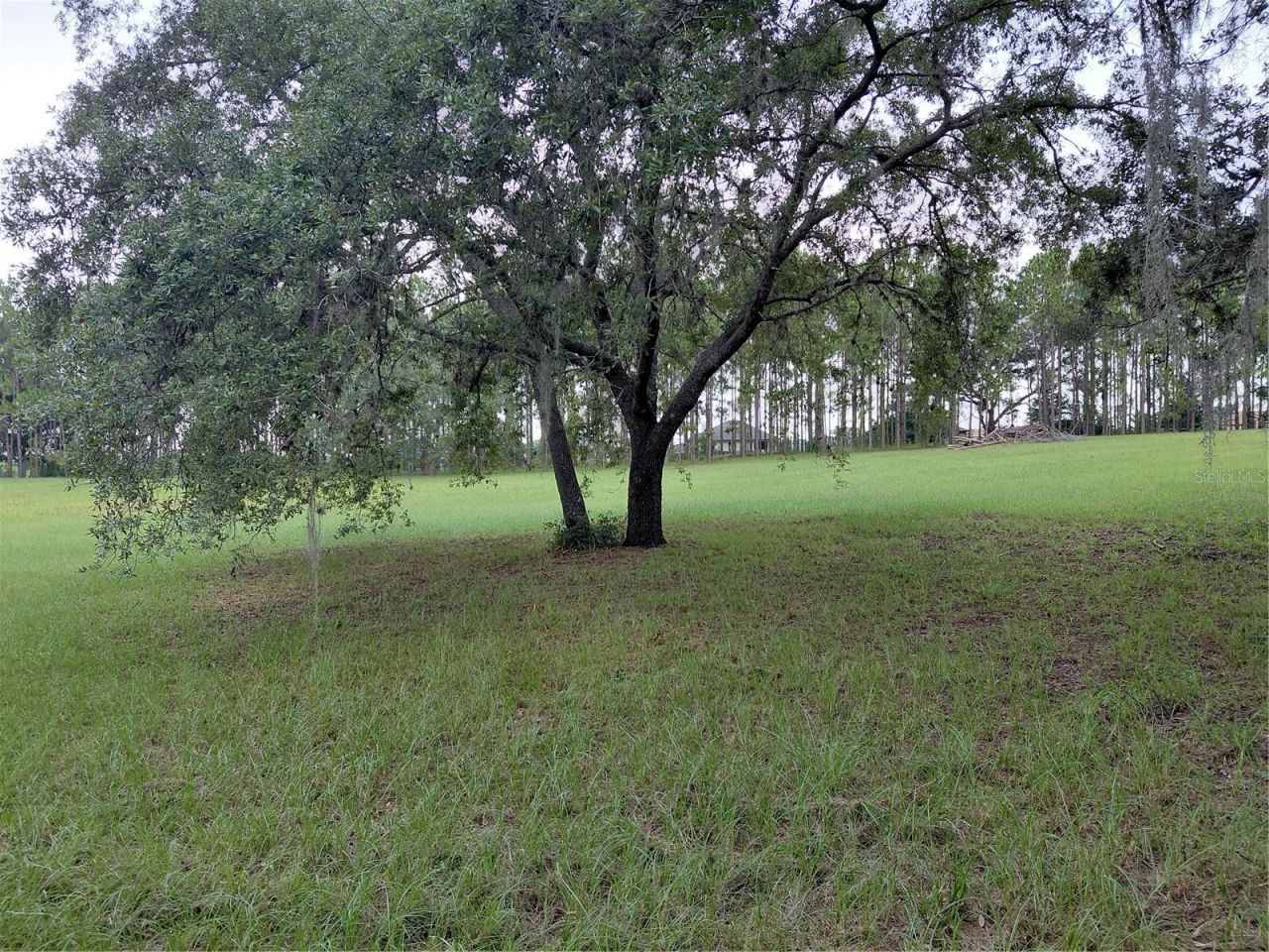 14240 Lost Lake Road , Clermont, FL 34711 Photo