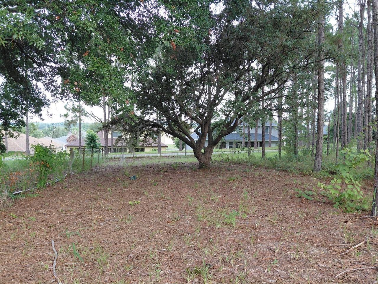 14240 Lost Lake Road , Clermont, FL 34711 Photo