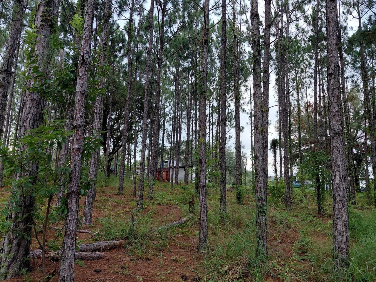 14240 Lost Lake Road , Clermont, FL 34711 Photo