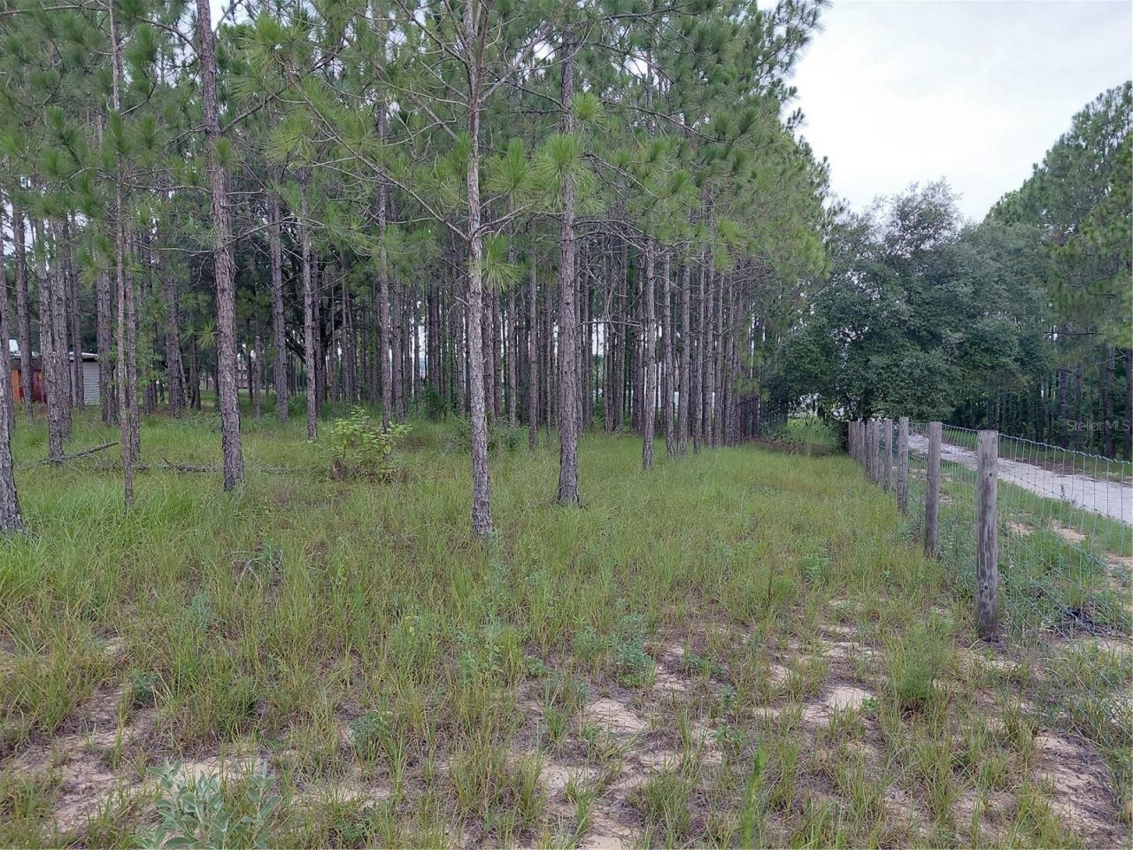 14240 Lost Lake Road , Clermont, FL 34711 Photo