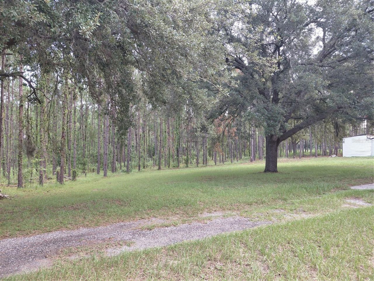 14240 Lost Lake Road , Clermont, FL 34711 Photo