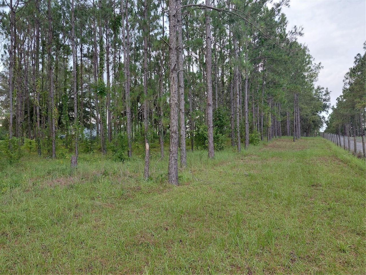 14240 Lost Lake Road , Clermont, FL 34711 Photo