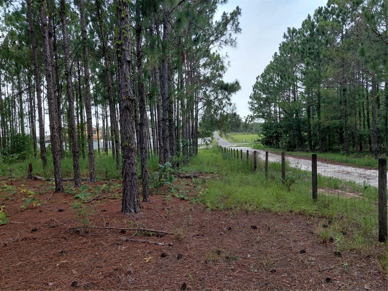 14240 Lost Lake Road , Clermont, FL 34711 Photo