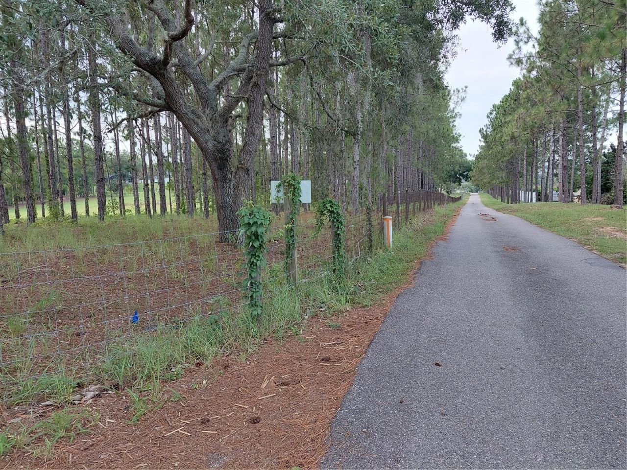 14240 Lost Lake Road , Clermont, FL 34711 Photo