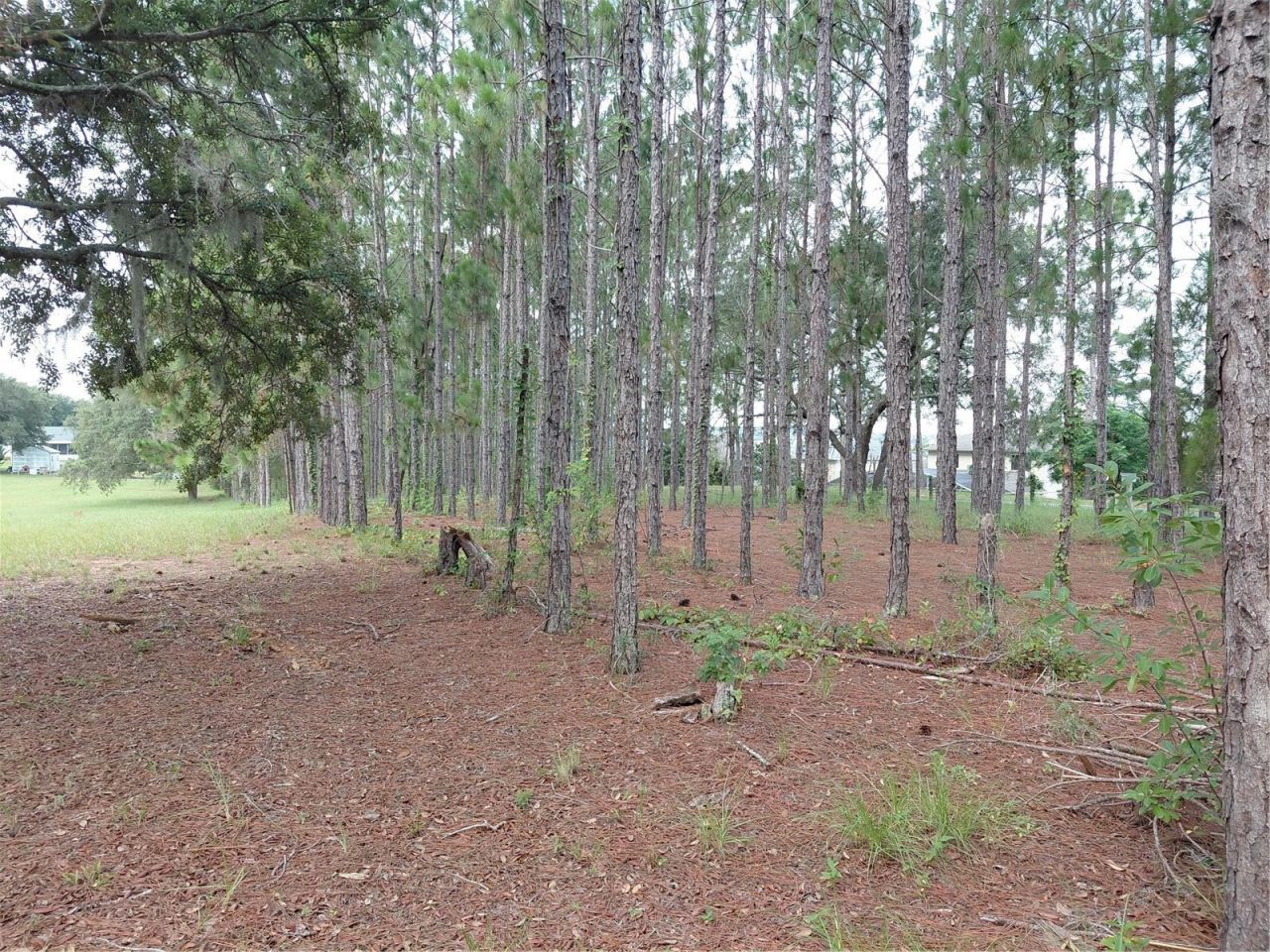 14240 Lost Lake Road , Clermont, FL 34711 Photo