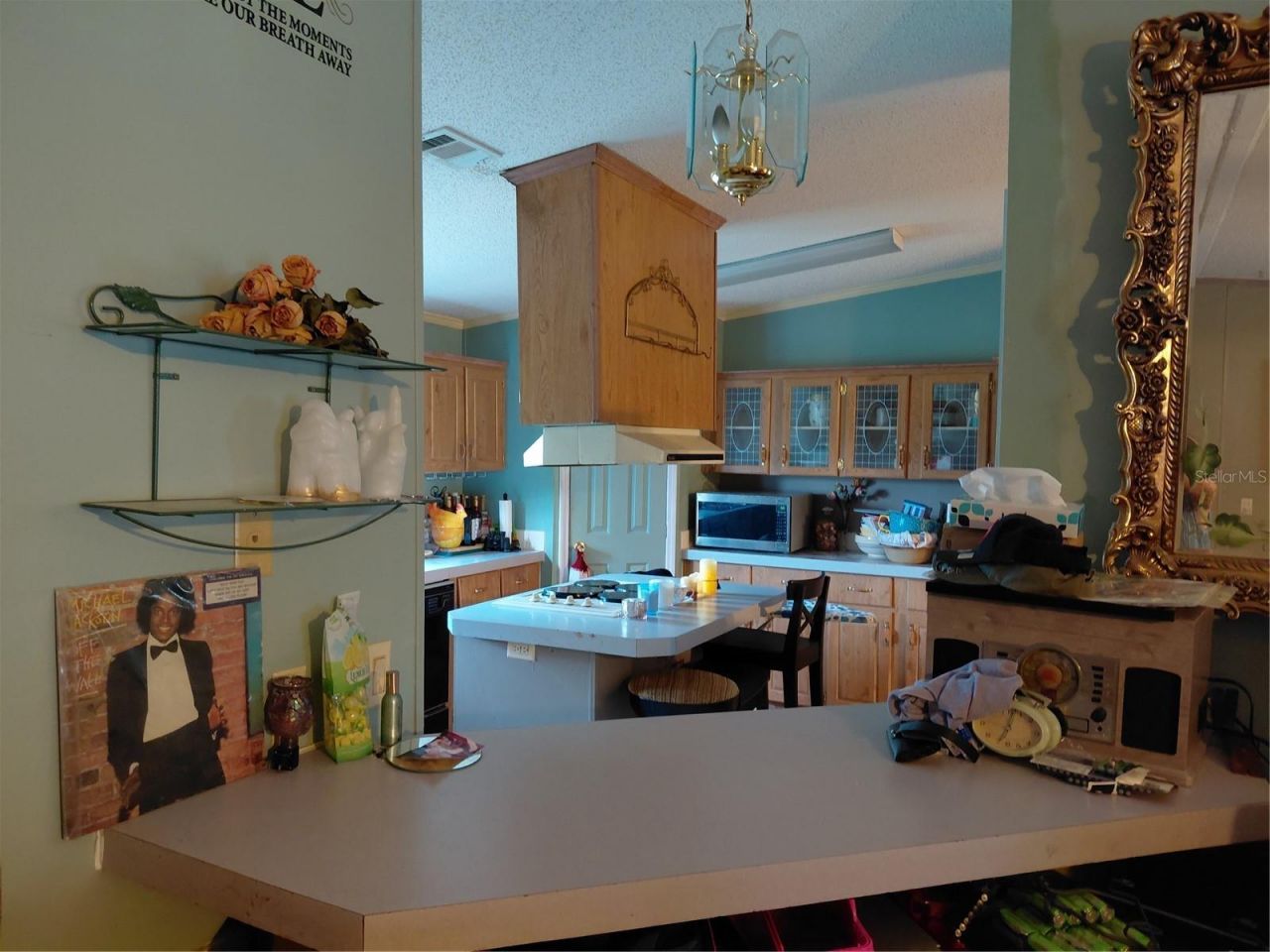 14240 Lost Lake Road , Clermont, FL 34711 Photo