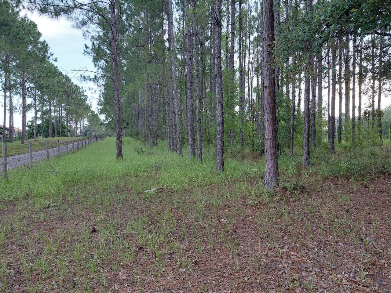 14240 Lost Lake Road , Clermont, FL 34711 Photo