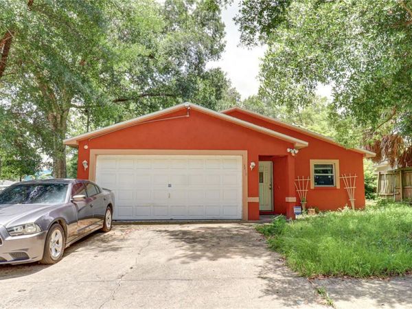 3419 E DIANA STREET , TAMPA, FL 33610
