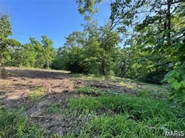 14690 Conway Road, Dixon, MO 65459