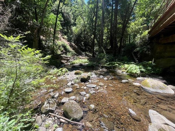 0 Deer Creek (Lot 21) Road, Boulder Creek, CA 95006