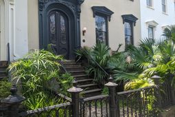 103 Bull Street photo 4