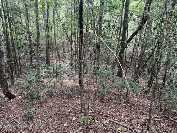 Mcdonald Road, Leakesville, MS 39451