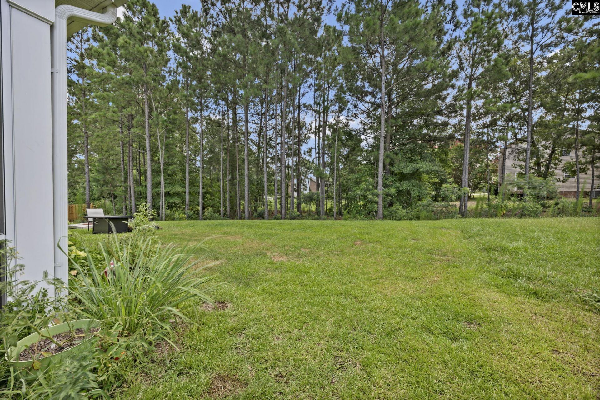 111 Coppersmith Drive Photo 27
