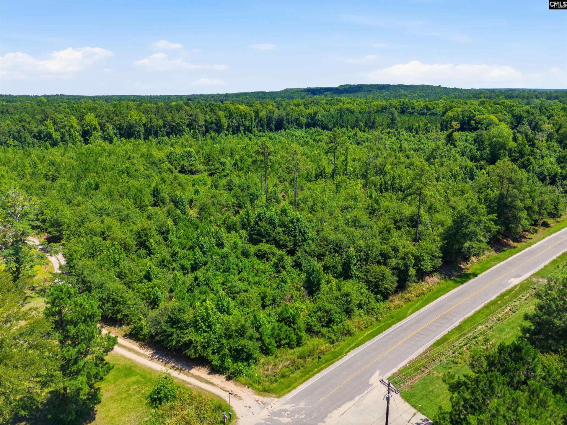 Borden Road  Photo 14