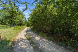 Borden Road  photo 4