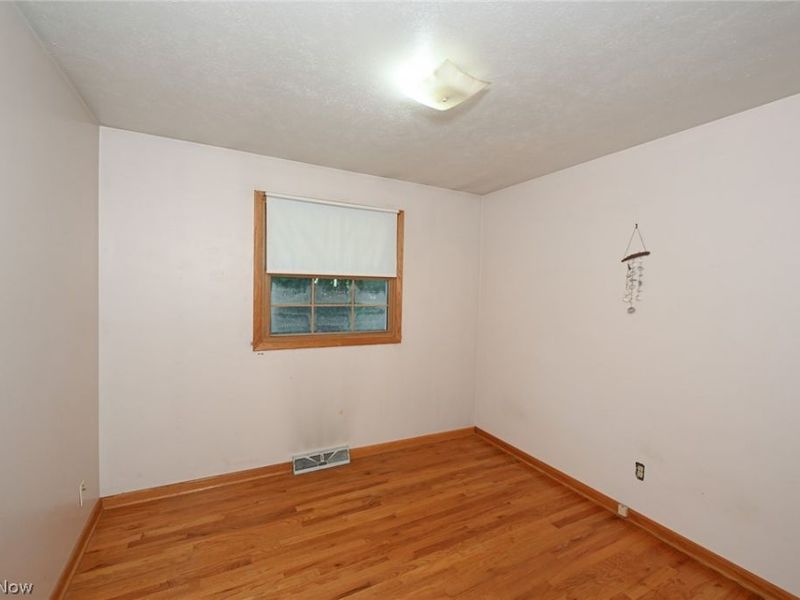 110 Schempp Street, Lodi, OH 44254 Photo 11
