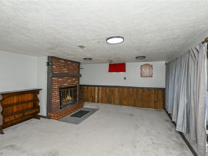 110 Schempp Street, Lodi, OH 44254 Photo 14