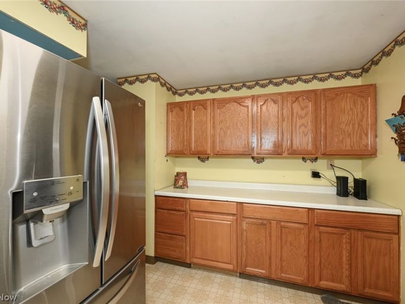 110 Schempp Street, Lodi, OH 44254 Photo 4