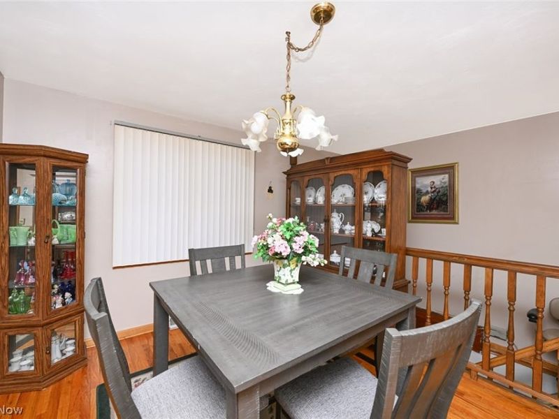 110 Schempp Street, Lodi, OH 44254 Photo 5