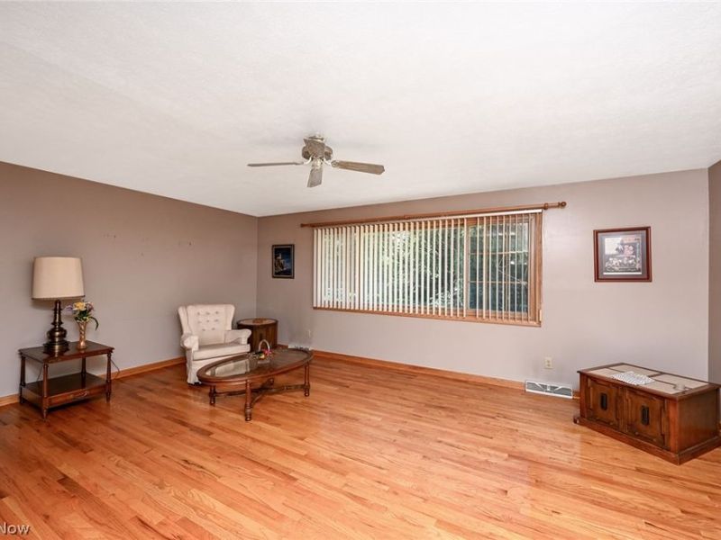 110 Schempp Street, Lodi, OH 44254 Photo 6