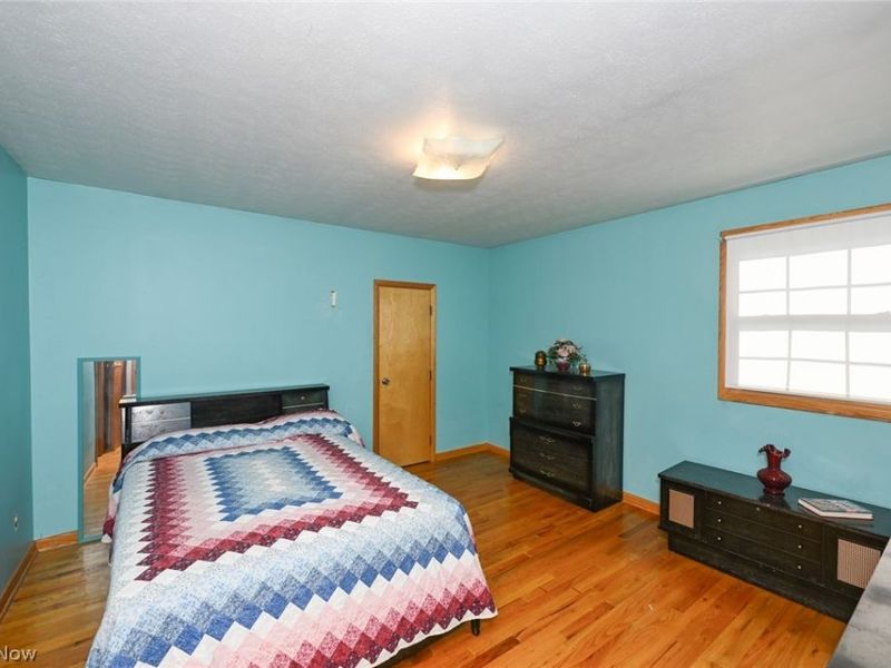 110 Schempp Street, Lodi, OH 44254 Photo 9
