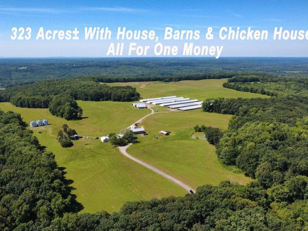 195 Taylor Nelson Road, Falkville, AL 35622