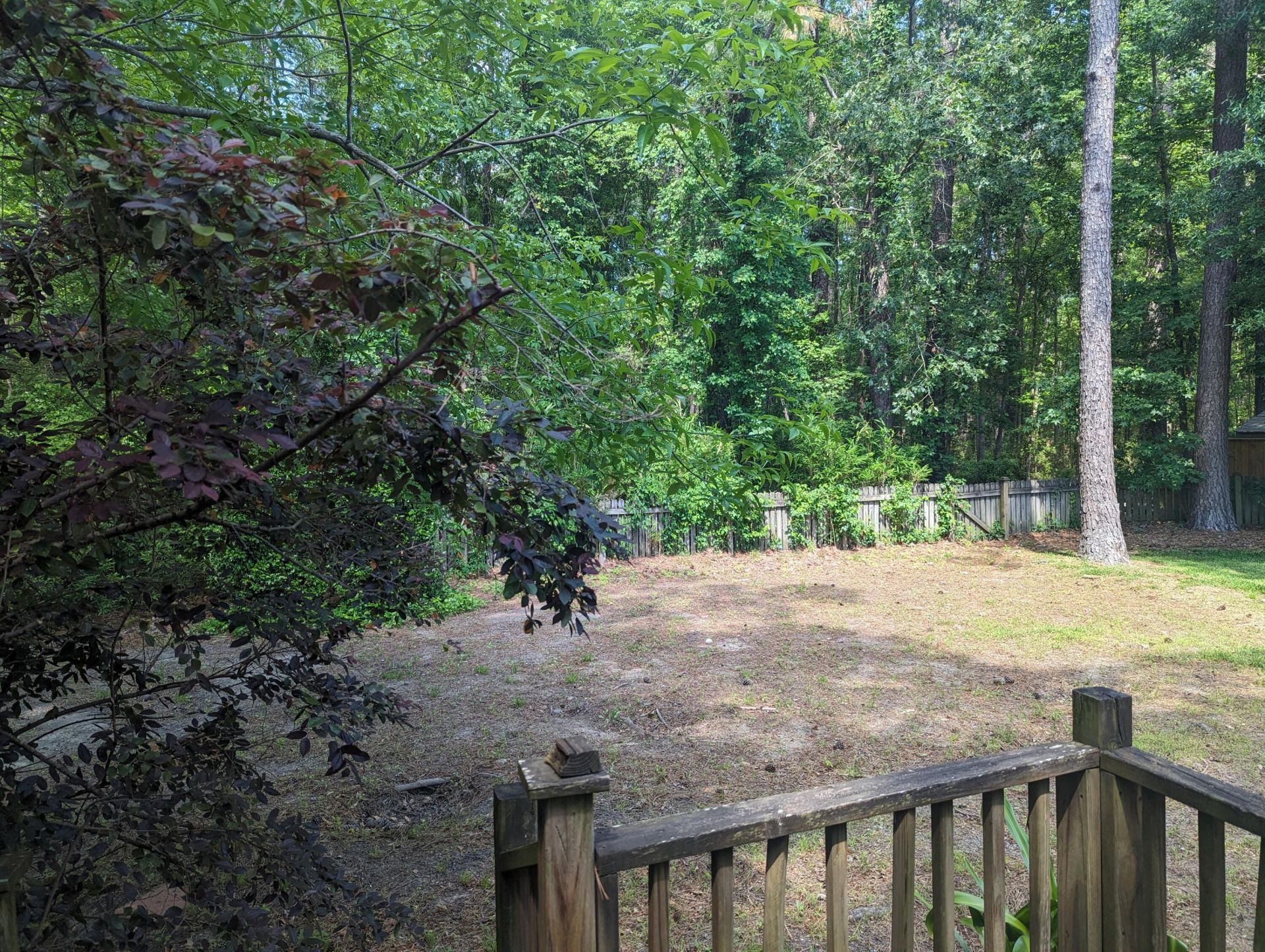3320 Cedar Creek Court Photo 12