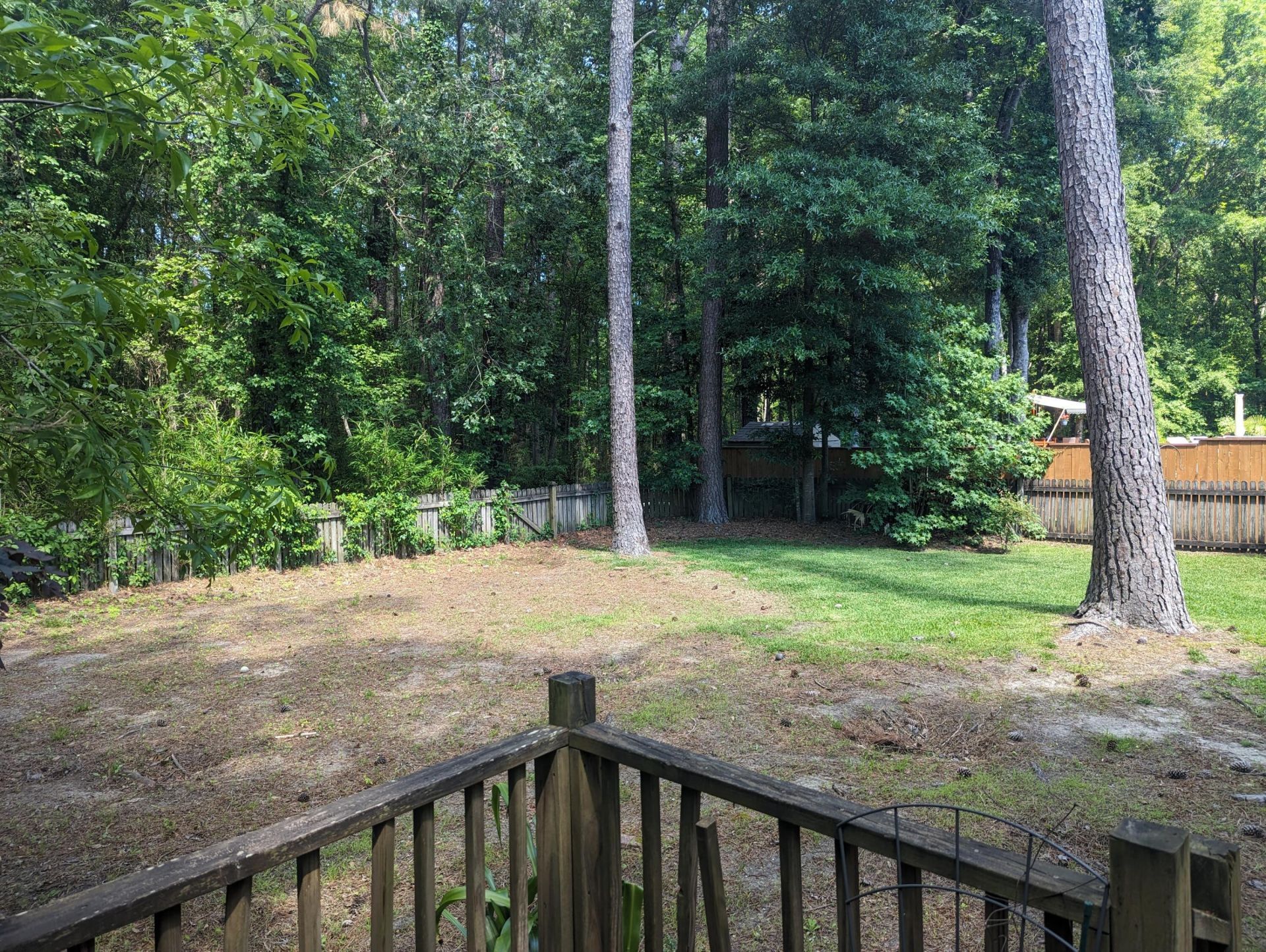 3320 Cedar Creek Court Photo 13