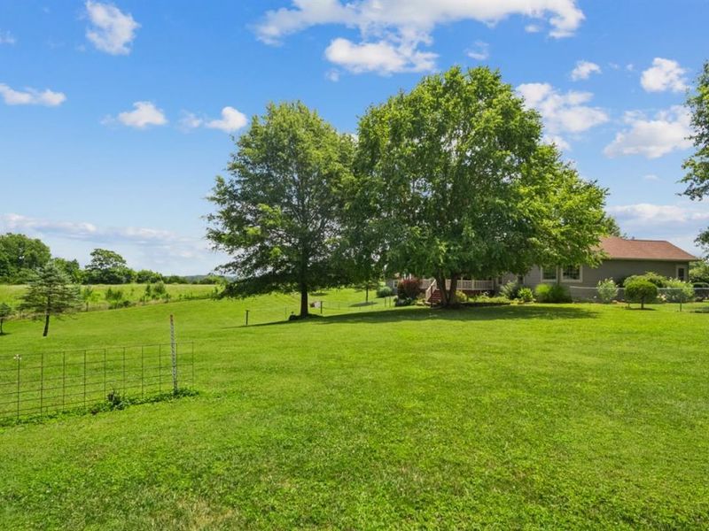 310 Lookout View Drive, West Union, OH 45693 Photo 49