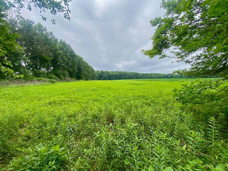 ac Ward-Koebel Road, Oregonia, OH 45054 Photo 7