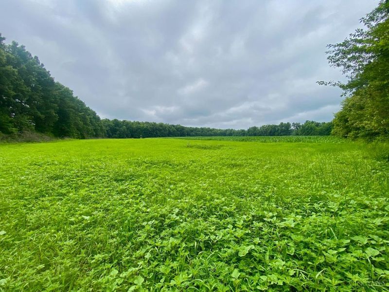 ac Ward-Koebel Road, Oregonia, OH 45054 Photo 8