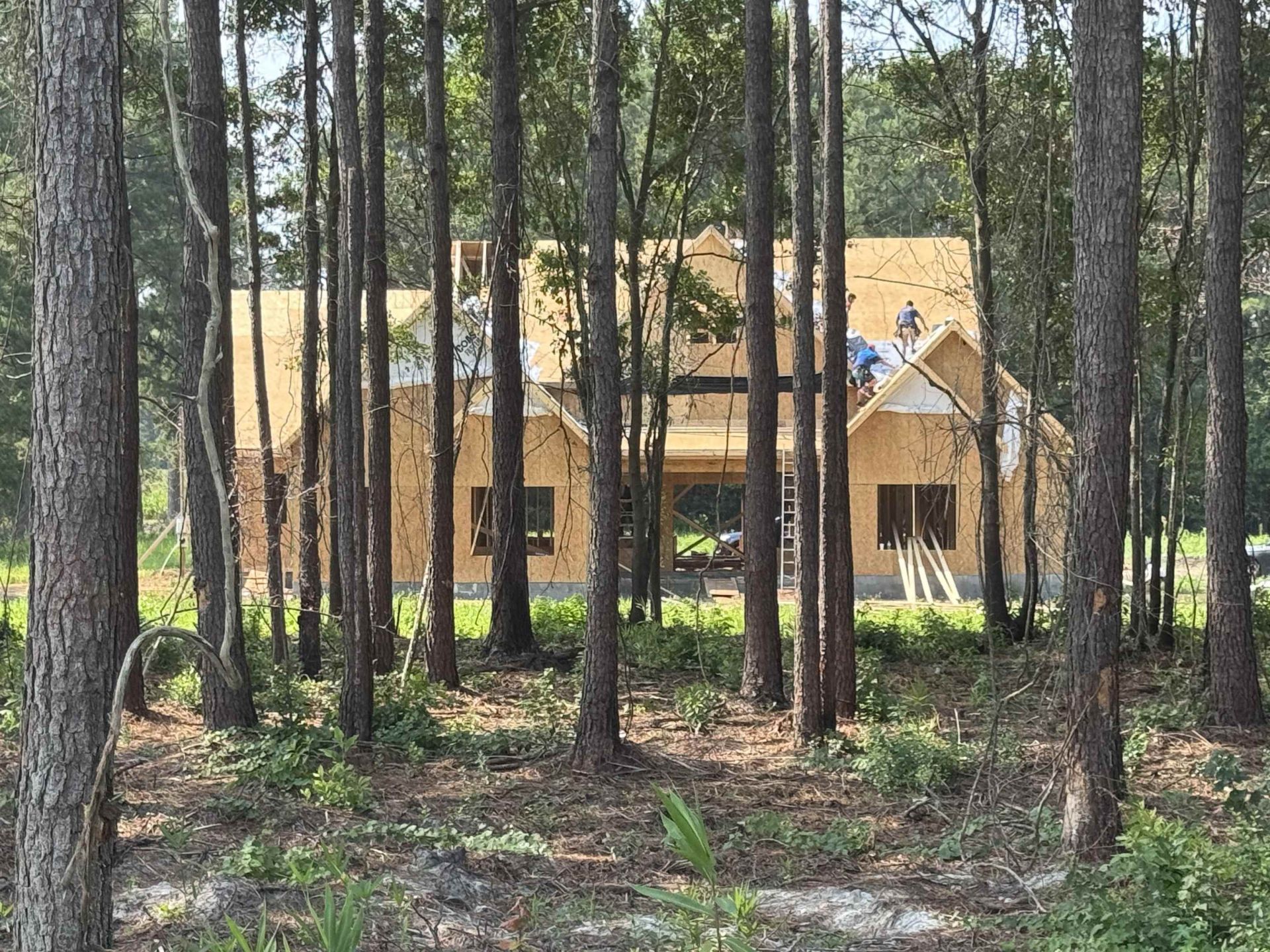 1880 Horry Rd. , Aynor, SC 29511 Main Photo