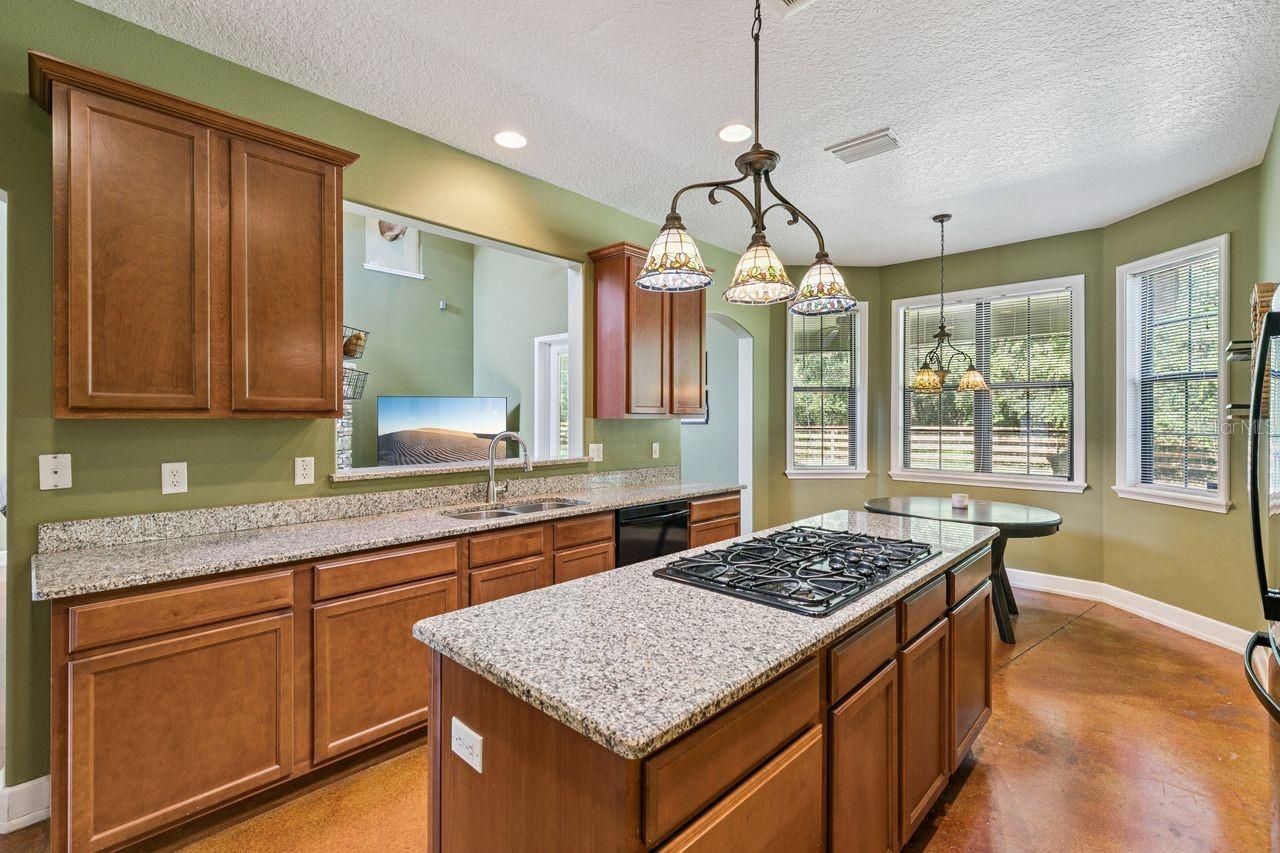 36137 Mattawan Drive, Eustis, FL 32736 Photo