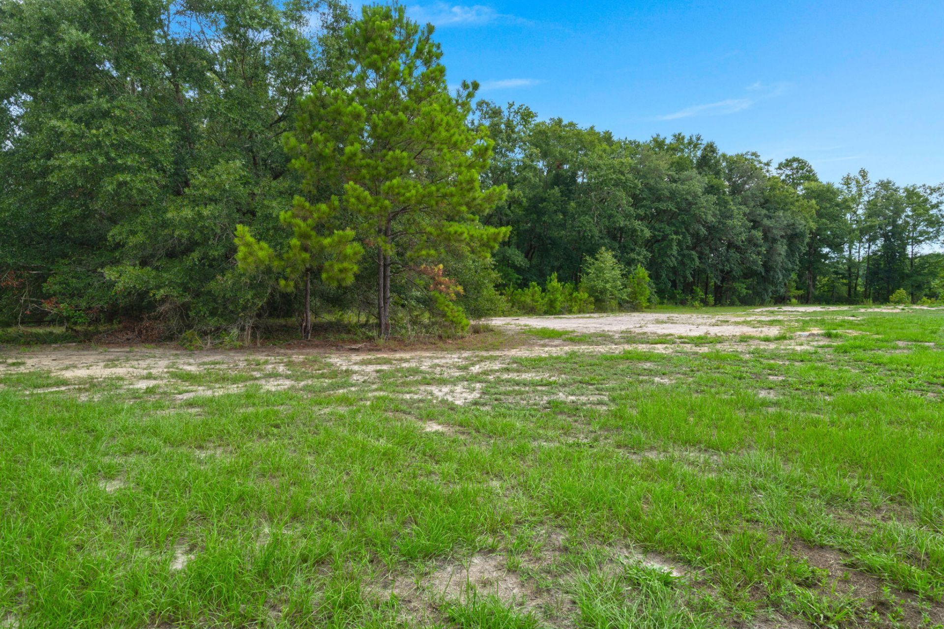 402 Marion Road Photo 27
