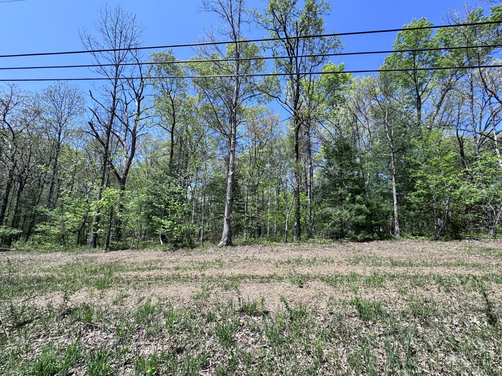 1027 Natchez Trce, Crossville, TN 38572 Main Photo