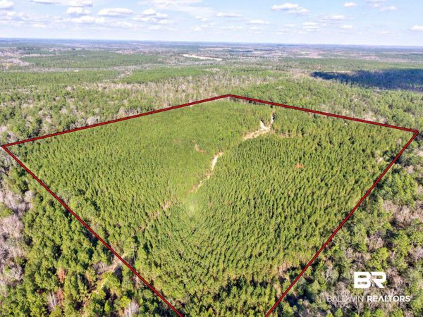 0 Jones Lane, Bay Minette, AL 36507