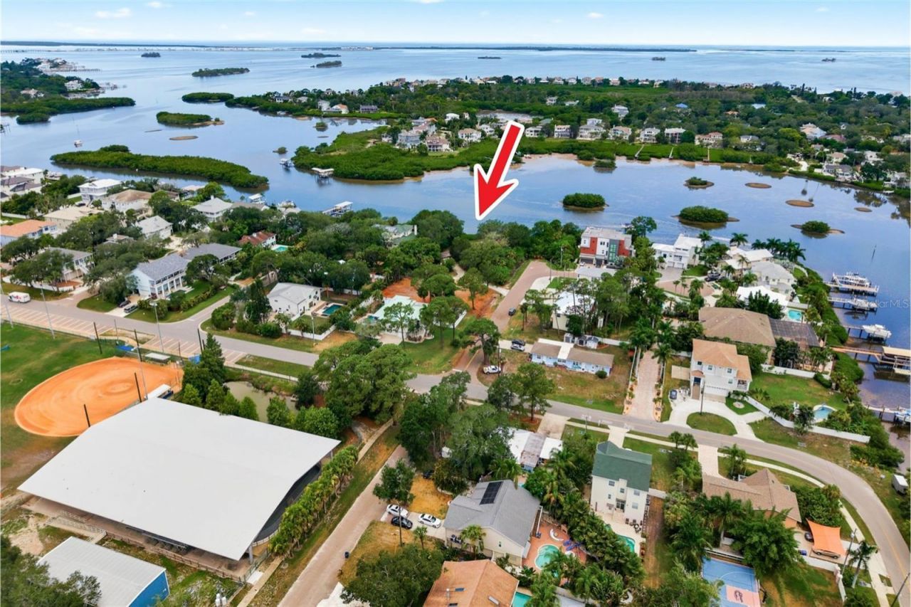 700 Delaware Avenue , Palm Harbor, FL 34683 Photo