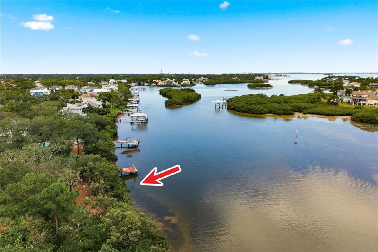 700 Delaware Avenue , Palm Harbor, FL 34683 Photo